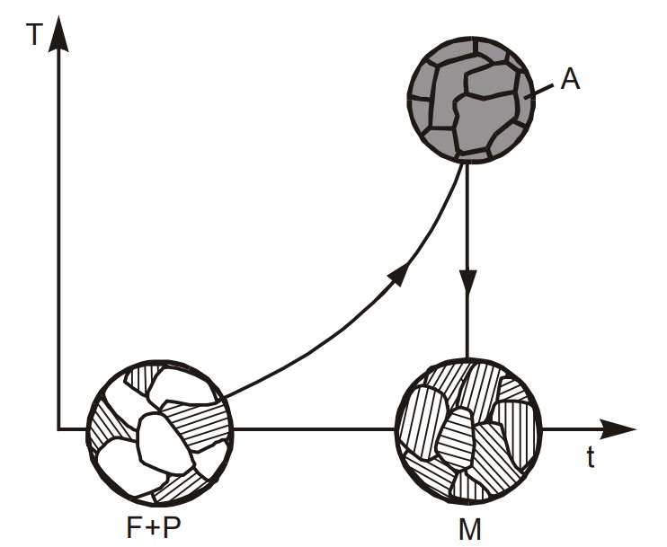 ferrite + pearlite turns to austenite when heated and into martensite when rapidly cooled